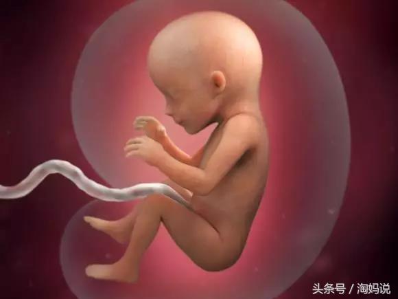 胎儿发育40周全过程关注事项,赞宝宝训练抬头的句子