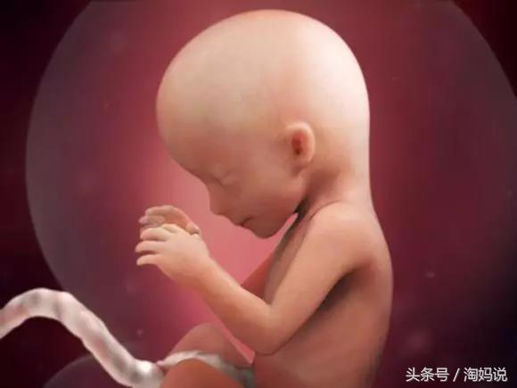 胎儿发育40周全过程关注事项,赞宝宝训练抬头的句子