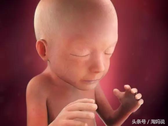 胎儿发育40周全过程关注事项,赞宝宝训练抬头的句子