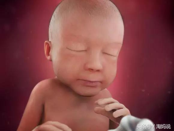 胎儿发育40周全过程关注事项,赞宝宝训练抬头的句子