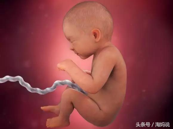 胎儿发育40周全过程关注事项,赞宝宝训练抬头的句子