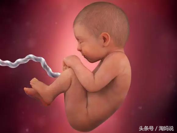 胎儿发育40周全过程关注事项,赞宝宝训练抬头的句子