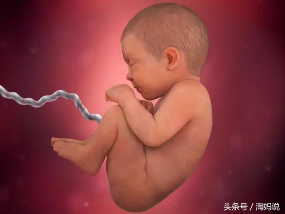 胎儿发育40周全过程关注事项,赞宝宝训练抬头的句子
