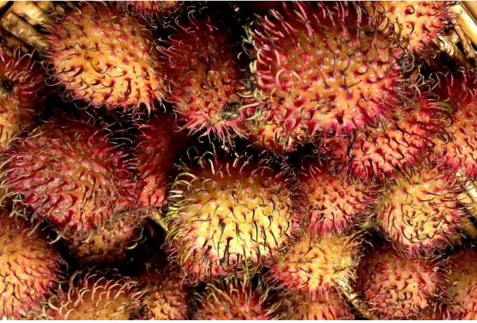 这10种水果外国人听都没听说过，中国人几乎全都认识