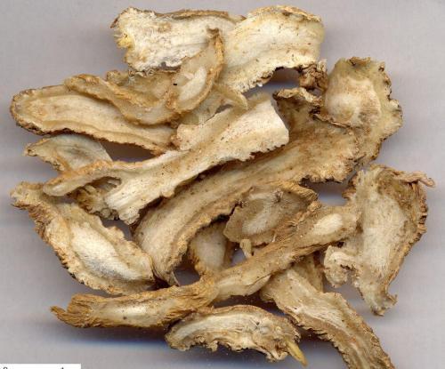 抗癌补血的民间药方,补血益气排毒抗衰