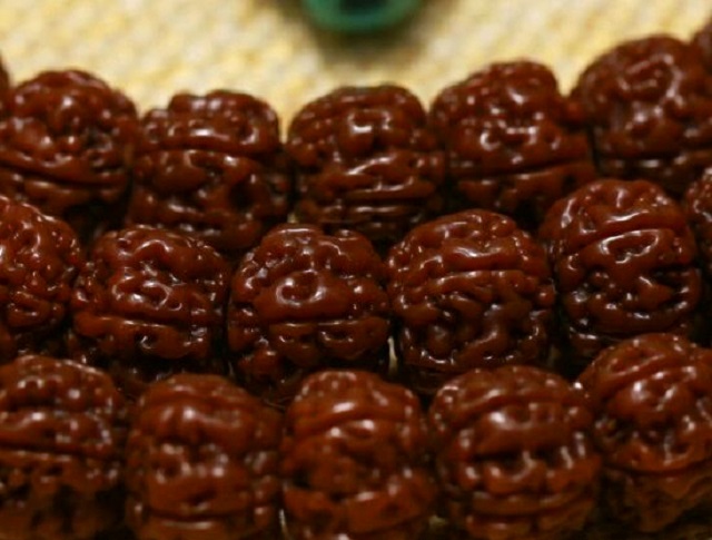 极品金刚菩提怎样挑选，金刚菩提籽多少钱一颗？你想知道的都在这