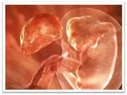 分娩的6大信号你知道吗？