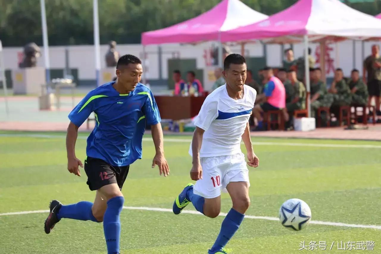 卫士动力110,卫士动力