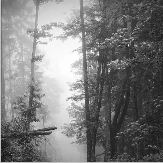 PS曲线的使用,曲线ps原理