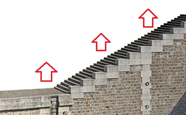 大学教育针对我们，真的是必要吗？