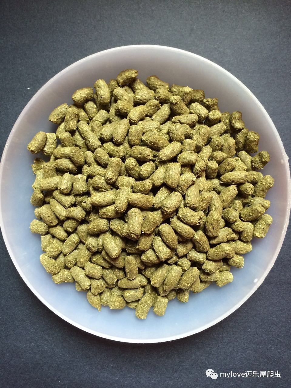 龟吃什么怎么喂,所有龟粮都适合龟龟吃吗