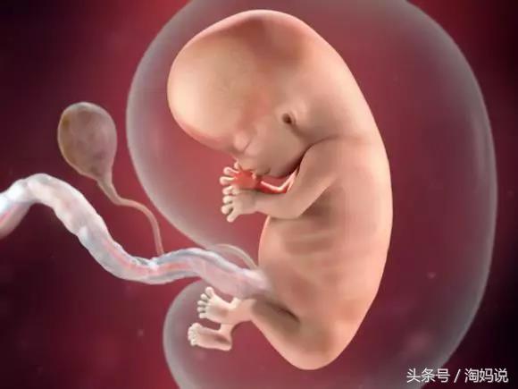 胎儿发育40周全过程关注事项,赞宝宝训练抬头的句子