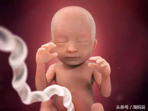 胎儿发育40周全过程关注事项,赞宝宝训练抬头的句子
