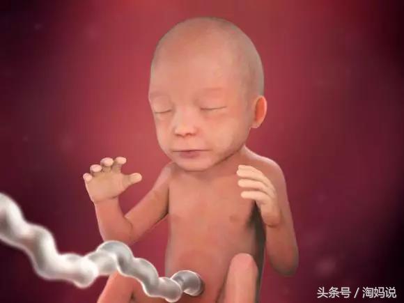 胎儿发育40周全过程关注事项,赞宝宝训练抬头的句子