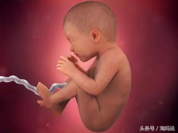 胎儿发育40周全过程关注事项,赞宝宝训练抬头的句子