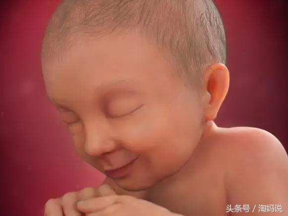 胎儿发育40周全过程关注事项,赞宝宝训练抬头的句子