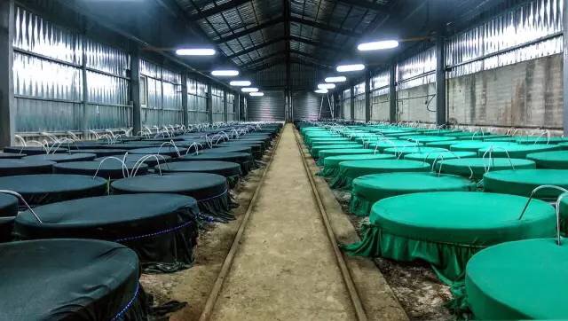 如果你是个不爱吃醋的人，那你一定还没遇到——TA！哈哈哈