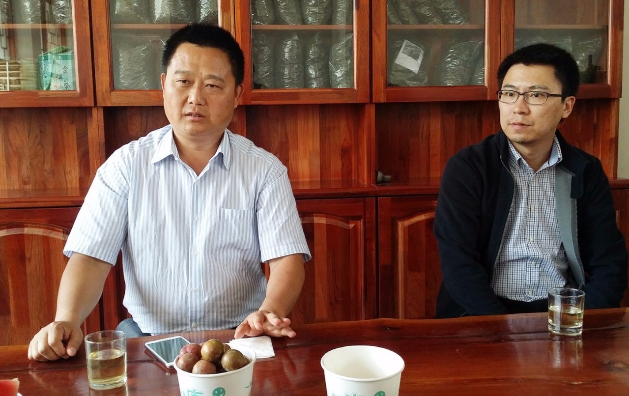 扶贫云南茶,云南茶叶今日热点