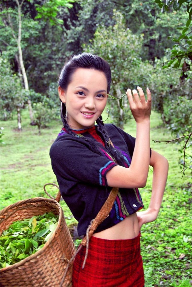 扶贫云南茶,云南茶叶今日热点