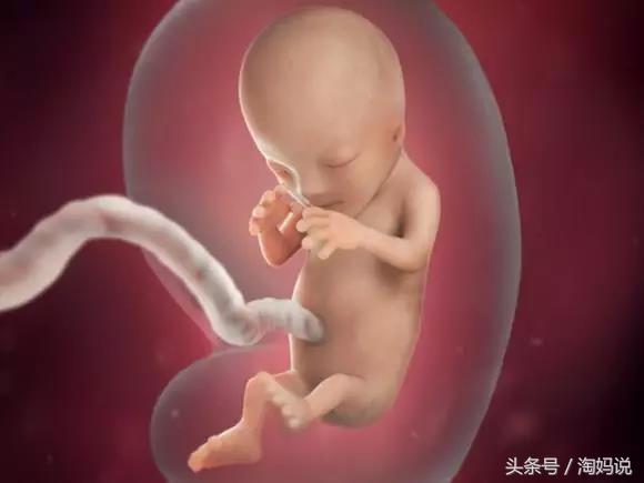 胎儿发育40周全过程关注事项,赞宝宝训练抬头的句子