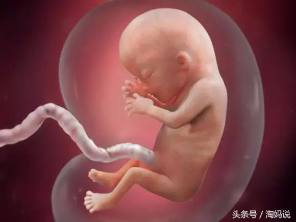 胎儿发育40周全过程关注事项,赞宝宝训练抬头的句子