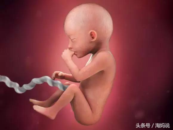 胎儿发育40周全过程关注事项,赞宝宝训练抬头的句子