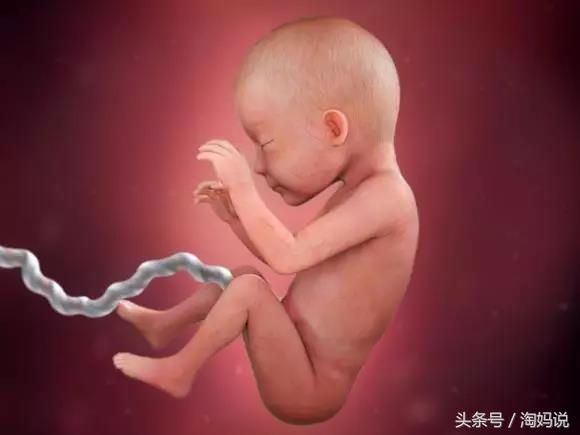胎儿发育40周全过程关注事项,赞宝宝训练抬头的句子