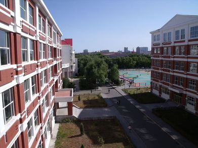 张雪峰马丁互怼500强,张雪峰怼马丁后面结果怎么样