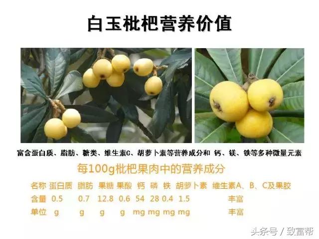 亩产收益最高的果树,收益最高的果树是哪种