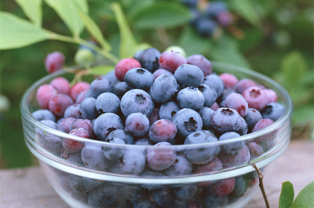 想避免糖尿病肾病牢记这三句话,防止糖尿病并发症用什么药好