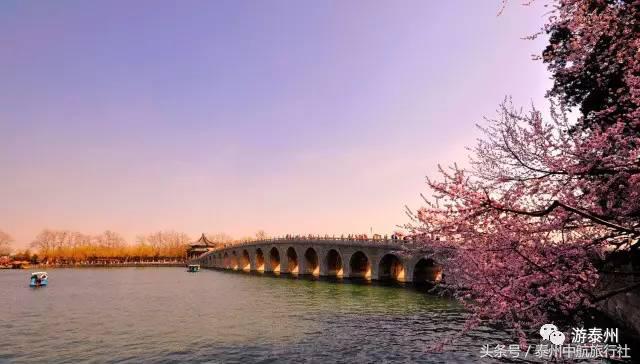 泰州中航旅游团六日游,泰州中航国旅三日游