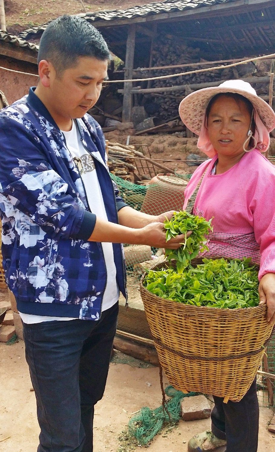 扶贫云南茶,云南茶叶今日热点