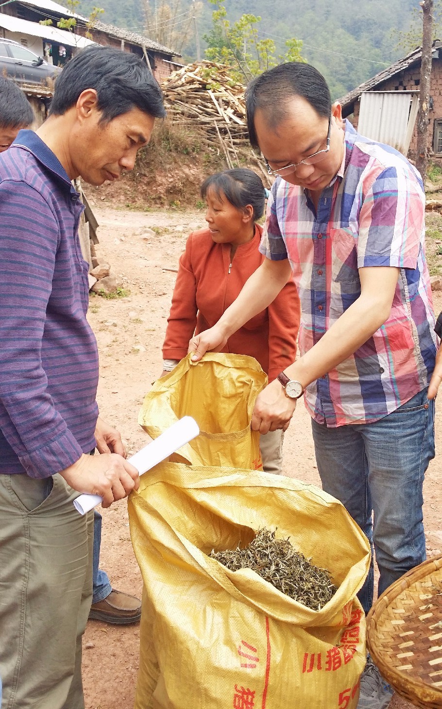 扶贫云南茶,云南茶叶今日热点