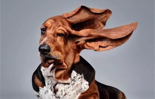 中暑的科普小视频,中暑急救科普视频