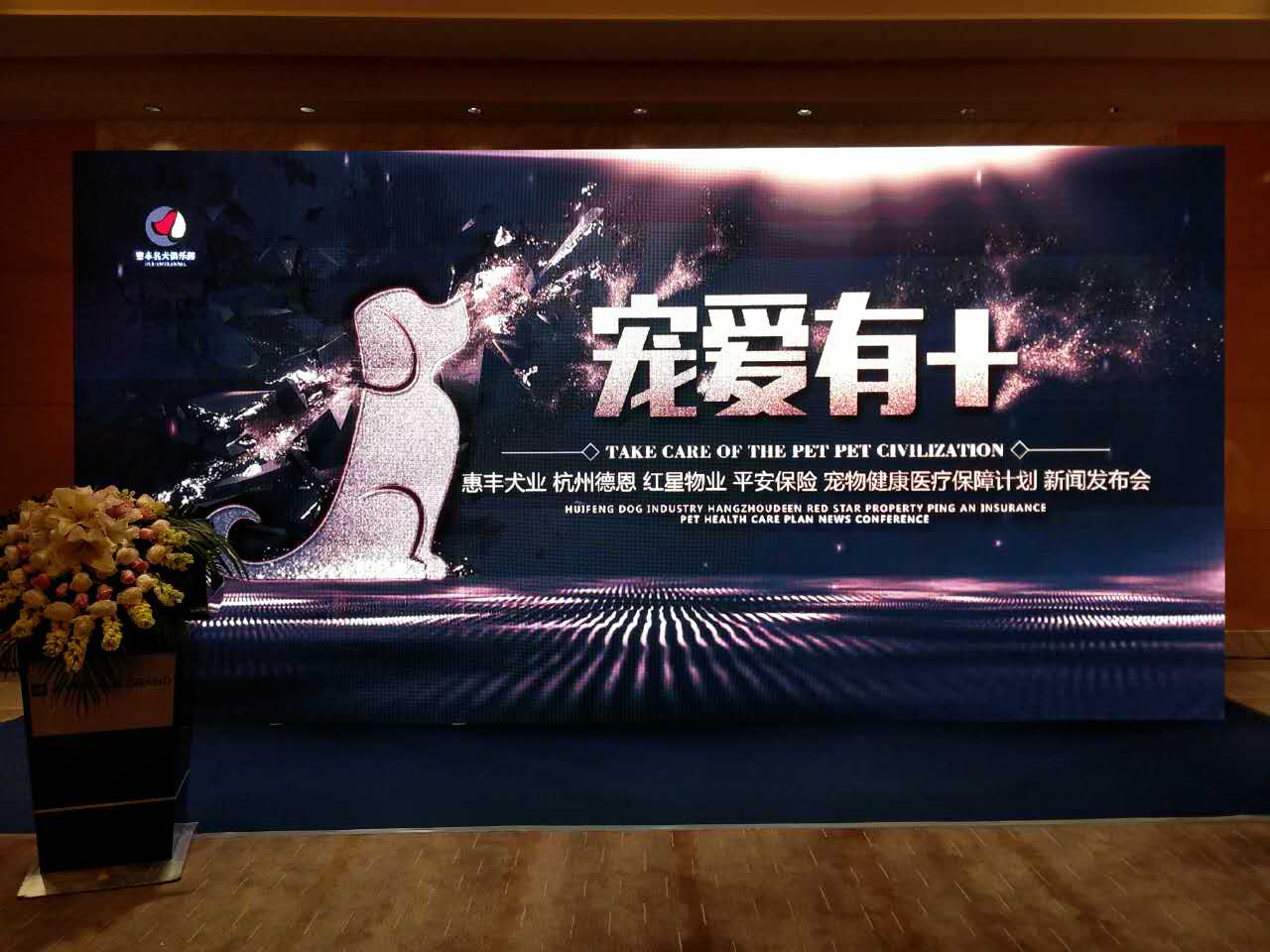 宠物福利免费领取,宠物医保都有哪些