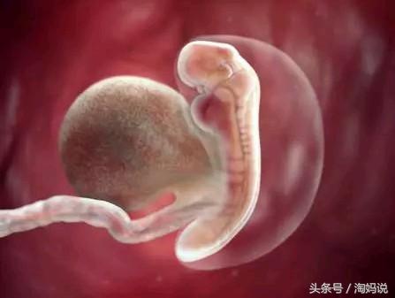 胎儿发育40周全过程关注事项,赞宝宝训练抬头的句子