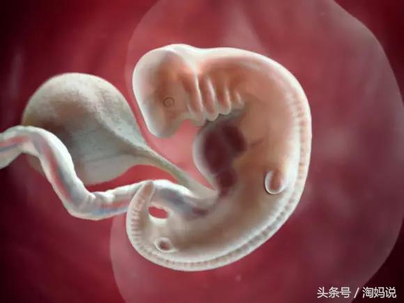 胎儿发育40周全过程关注事项,赞宝宝训练抬头的句子