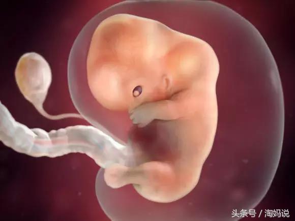 胎儿发育40周全过程关注事项,赞宝宝训练抬头的句子