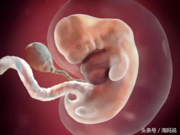 胎儿发育40周全过程关注事项,赞宝宝训练抬头的句子