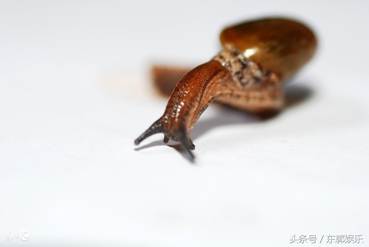 从青春到成熟的感悟,你必须知道的人生知识