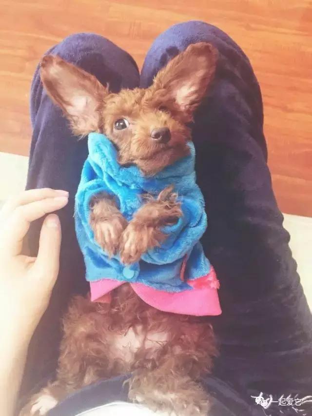 宠爱小故事大全,宠爱故事免费阅读