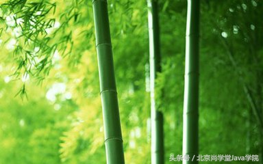 尚学堂程序员培训,尚学堂算法工程师