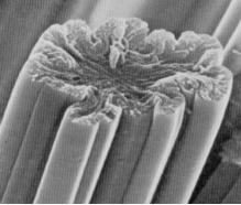 粘胶纤维和莱赛尔纤维,再生纤维粘胶纤维