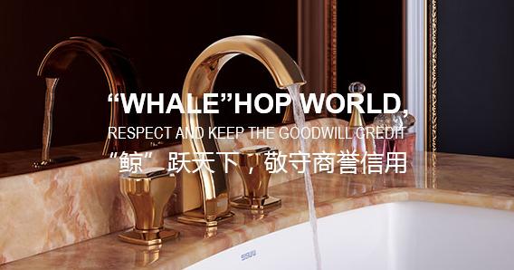 浪鲸卫浴品牌浴柜,希箭卫浴和浪鲸卫浴哪个好