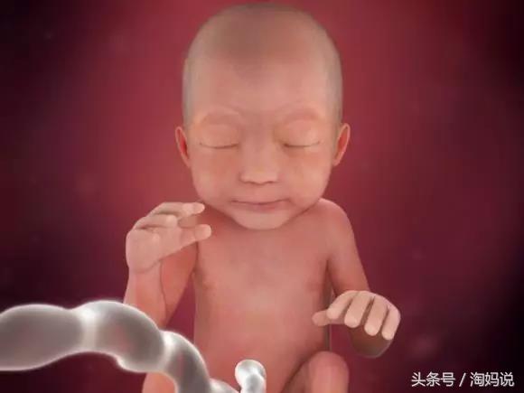 胎儿发育40周全过程关注事项,赞宝宝训练抬头的句子