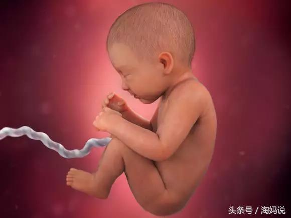 胎儿发育40周全过程关注事项,赞宝宝训练抬头的句子