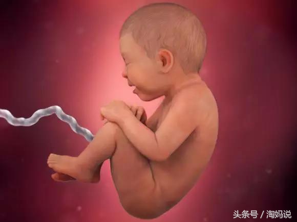 胎儿发育40周全过程关注事项,赞宝宝训练抬头的句子
