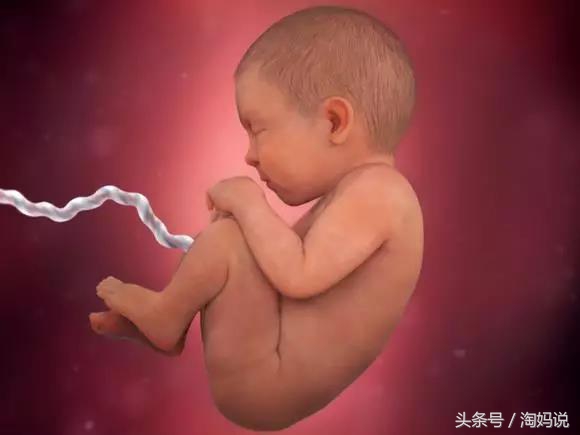 胎儿发育40周全过程关注事项,赞宝宝训练抬头的句子