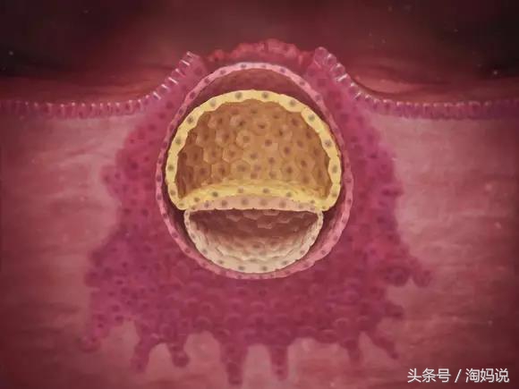胎儿发育40周全过程关注事项,赞宝宝训练抬头的句子