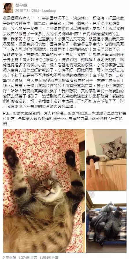 养猫后晚期癌症居然不治而愈！养宠物有这么神奇吗？